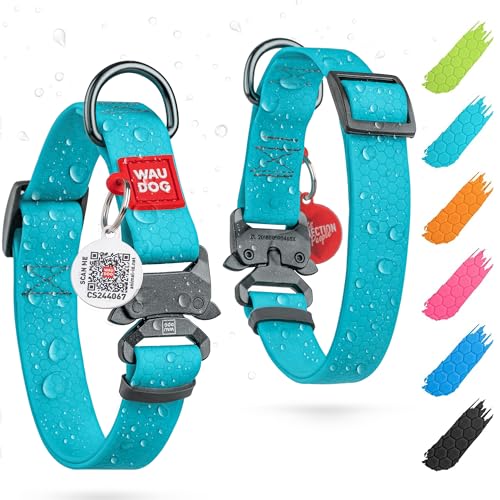 10 Best Waterproof Dog Collar