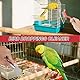BOXOB 6-Teiliges Reinigungsbürsten-Set für Vogelkäfige, Multifunktional Vogelkäfig-Reinigungszubehör mit Schaber Bürstenwerkzeuge für Kleintierkäfige Sittiche und Hamster