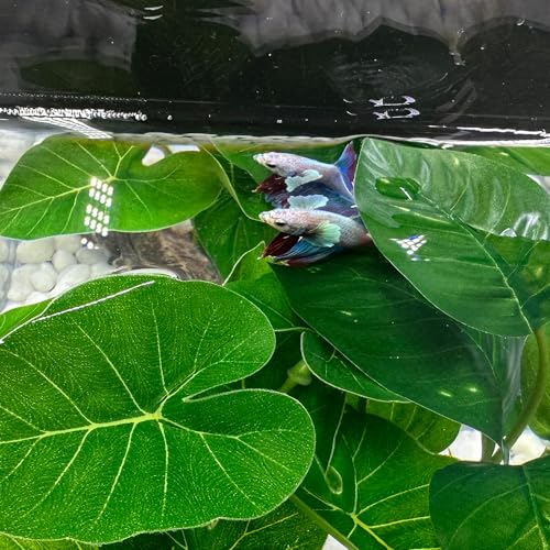 Smoothedo-Pets Fish Tank Decor Aquarium Decorations Ornaments Betta Leaf pad Hammock 6inch Plastic Artificial Plant Goldfish Fish Hides Small Tank/Reptiles Plants Driftwood (Green-Type-A) - Image 3