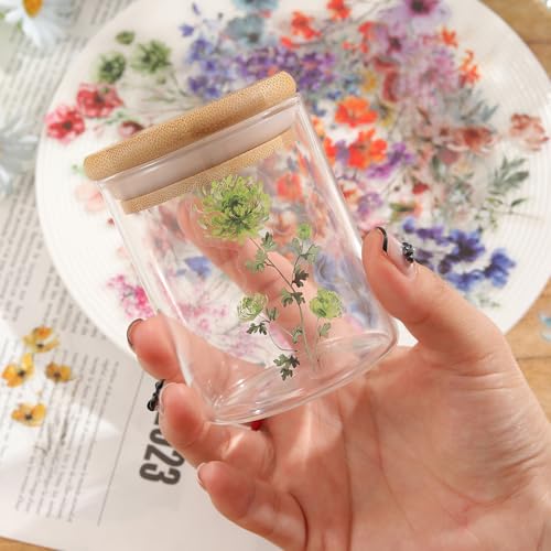 Image of Transparent Flora Scrapbook Stickers Aesthetic Flowers Stickers(Ins) | Transparent & Waterproof Sticker for Scrapbook Journal Water Bottle Kindle, DIY Crafts, Party Supplies