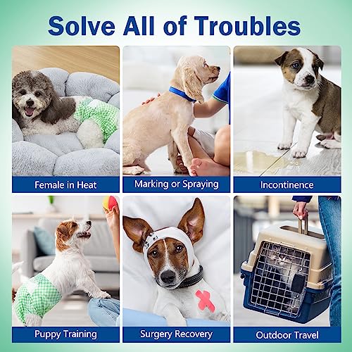 Image of Pet Soft Dog Diapers Female, Disposable Doggie Diapers for Female Dogs, Puppy Cat Diapers with Adjustable Foam Tail Hole, 24pcs (L,Green)