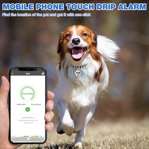 XPJBKC GPS-Tracker für Katze, Mini-Haustier- und Hundetracker mit Halsband, Echtzeit-Standortverfolgung von Hunden und Katze