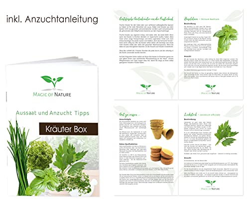 Magic of Nature Kräuter Box CLASSIC Anzuchtset zum Selberzüchten oder zum Verschenken - das perfekte Geschenk für jeden Anlass