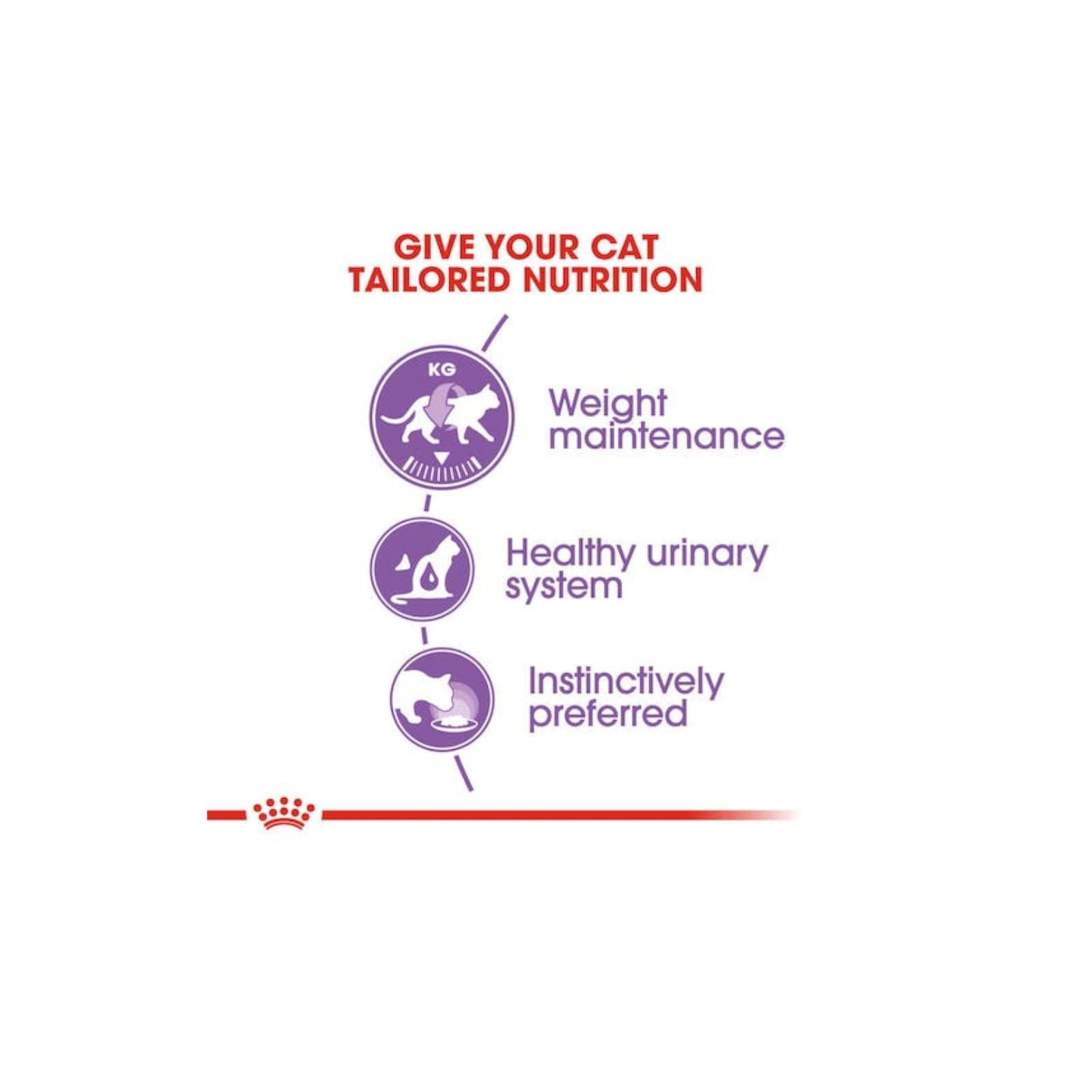 Royal Canin Feline Sterilised | Pack Double | 2 x 12 x 85g | Aliment Complet pour Chats Adultes castrés | Petits Morceaux en gelée | A partir de 12 Mois