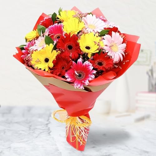 FLORANET Vibrant Bouquet of 12 Mixed Gerberas Wrapped in Tissue for Anniversary, Birthday, Wedding, Congratulations & Mother’s Day | Same Day Delivery-picture-30