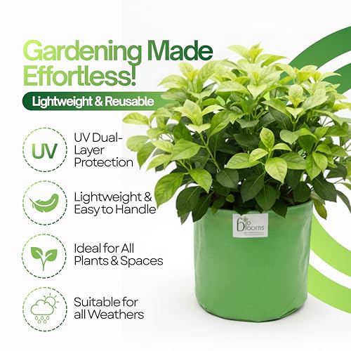 Image of Bio Blooms Round HDPE Plant Grow Bag for Terrace & Kitchen Gardening | 12x12 | 200 GSM Heavy Duty Outdoor Grow Bag | Durable Planter for Vegetables, Flowers & Plants | Green & Orange