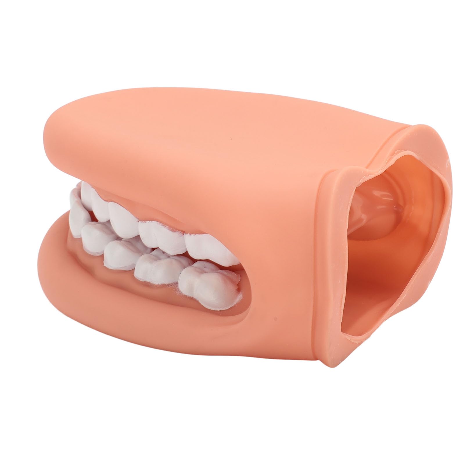 ciciglow Marionnette à Bouche avec Langue 28 Dents, Mini Marionnette à Doigt à Moteur Oral, Modèle de Bouche à Dents pour la Démonstration et l'enseignement aux Enfants
