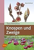 Taschenatlas Knospen und Zweige: 270 Geh&ouml;lze im Winter bestimmen (Taschenatlanten)