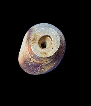 Amazon.co.jp: 隠崎隆一 備前 酒器 酒呑 高杯 ぐい呑み 共布 共箱 陶歴