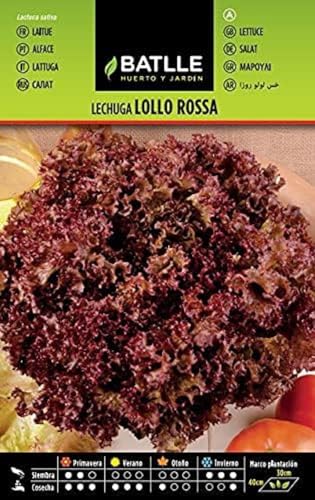 Lechuga LOLLO ROSSA