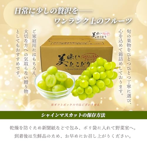 美味いとこどり 高級 シャインマスカット 高糖度平均20度 野菜ソムリエ推奨 の商品画像 3