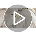 ECOCOTT Bedding 3-Piece Duvet Cover Set King Size – Silky Soft 100% Lyocell, Cooling & Breathable for Hot Sleepers, Misty Bloom Floral Pattern, Moisture-Wicking Luxury