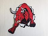 EINZIGARTIGES DESIGN & TOP QUALITÄT: Wir erstellen unsere Patches in kleinen Serien oder Einzelstücken, so dass Sie einzigartige Patches Applikation haben können.