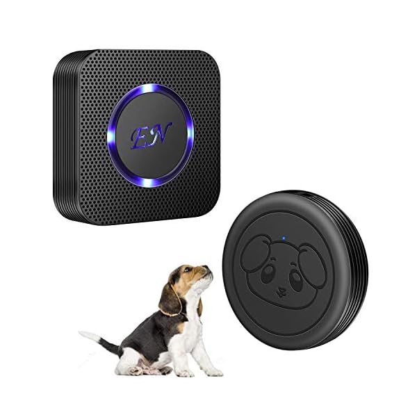 Wireless Doggie Doorbells for Potty Training