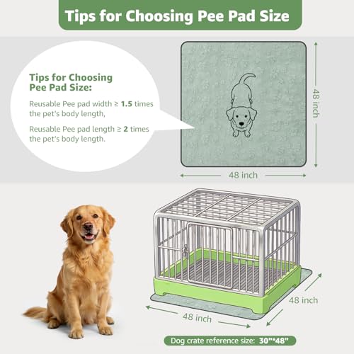 Image of LOOBANI 48 inchx48 inch Whelping Pads, Super Absorbent Reusable Pee Pads for Dogs, 2 Pack Leakproof & Waterproof Dog Playpen Mat, Washable Puppy Pads for Potty, Floor, Crate, Couch, Bed and Travel