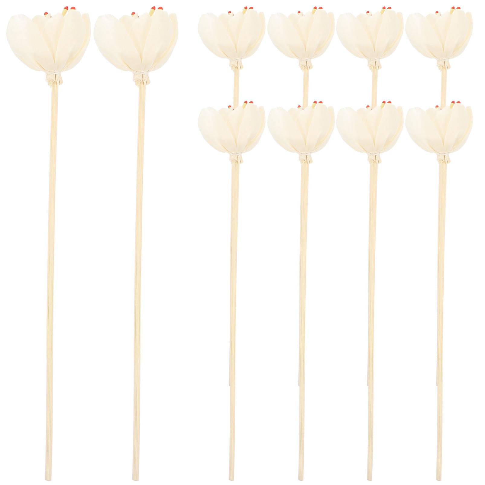 Cabilock Flower Diffuser Sticks Essential Oil Flowers Home Fragrance Diffuser Tools Diffuser