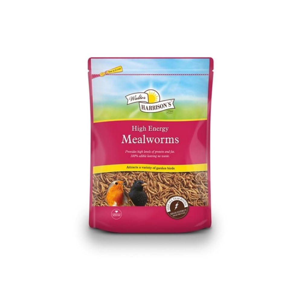 Walter Harrisons High Energy Mealworms – High Protein and Fat for Garden Birds, 500 g Pouch (Pack of 1)
