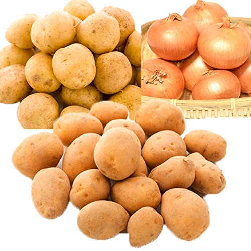 Ⴊ3Zbg (j݁Eʂ˂EƂie2kgj)