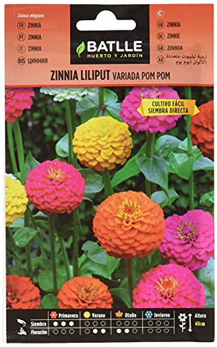 Semillas Batlle Zinnia LILIPUT variada (Pom Pom)