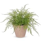 Nature Crafted Artificial Fern Potted Plant, 9' Small Fake Plants in Pot, Faux Lace Fern Plant Greenery for Home Office Farmhouse Living Room Bathroom Kitchen Tabletop Desk Shelf Decoration