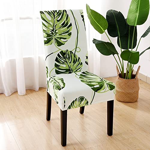 HZDHCLH Chair Covers Set of 4/6 Stretch Modern Chair Slipcovers for Dining Room Kitchen Wedding Party Washable Chair Protector (6pcs - Image 4