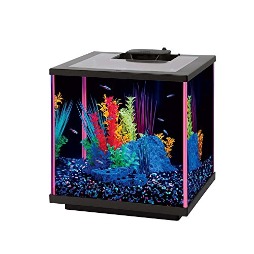 Aqueon NeoGlow LED Aquarium Kit Pink, 5.5 gallon/17" L x 9" W x 11" H Aqueon NeoGlow LED Aquarium Kit Pink, 5.5 gallon/17" L x 9" W x 11" H