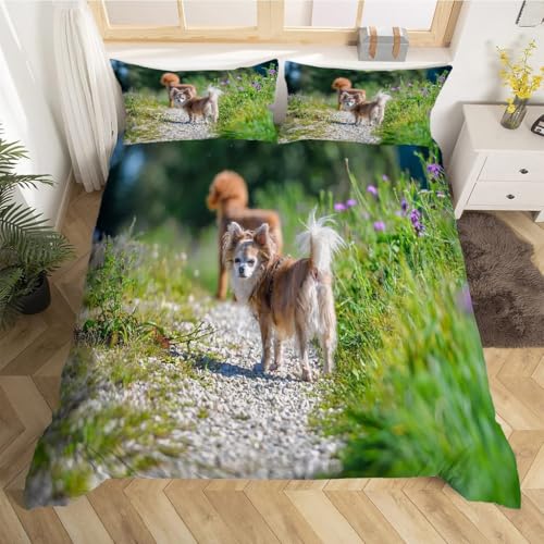 Housse Couette en Microfibre Douce 220x240 Imprimé Chien Papillon 3 Pièces - 3