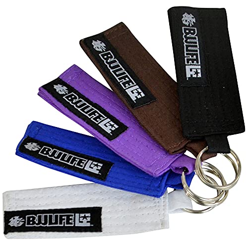 Combat Corner BJJ Life Rank Keychain for Brazilian Jiu Jitsu MMA Gear All Belt Rankings Gift Key Chain