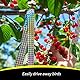KOKMEYA Reflektierendes Blitzband für Vögel, doppelseitiges Band, schreckt Vögel ab, vogelschreck,für Haus, Garten, Hof, Obstgarten, Terrasse, Outdoor, 80 m x 1