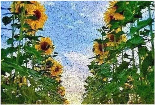 �J�[�y�b�g ���փ}�b�g �t���A�}�b�g �Ђ܂�� ����~�� �Ɩ��p ���n �}�b�g �V���v�� �D���Ƃ� �z�� �����E���� ���ʏ��}�b�g ������� ���ւ܂��� ���ׂ�~�� �ϖ��Ր� �h�L 40x60cm