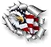 sticker licker Lizenziert Große Zerrissen Metall Rip Design mit Amerikanischer Weißkopfseeadler und US Stars & Stripes Flagge Motiv Externe Auto Aufkleber 205x160mm
