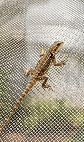 Image of 30 Mesh Stainless Steel Screen Mesh, 0.17mm Wire Diameter, 1m x 3m Woven Filter Mesh Sheet, Rust & Corrosion Resistant for Industrial Filtration, Kitchen, Garden, Vent Cover & DIY Projects
