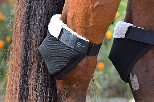Intrepid International CHHSAD Click Horse Hock Shield, Horse Care Boots thumb #1