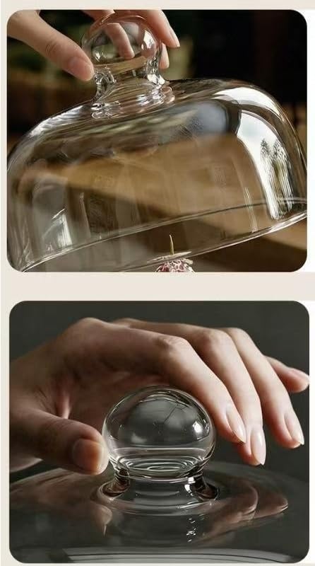 Espositore for torte, vassoio da dessert con cupola in vetro, supporto for pasticceria for prodotti da forno domestici