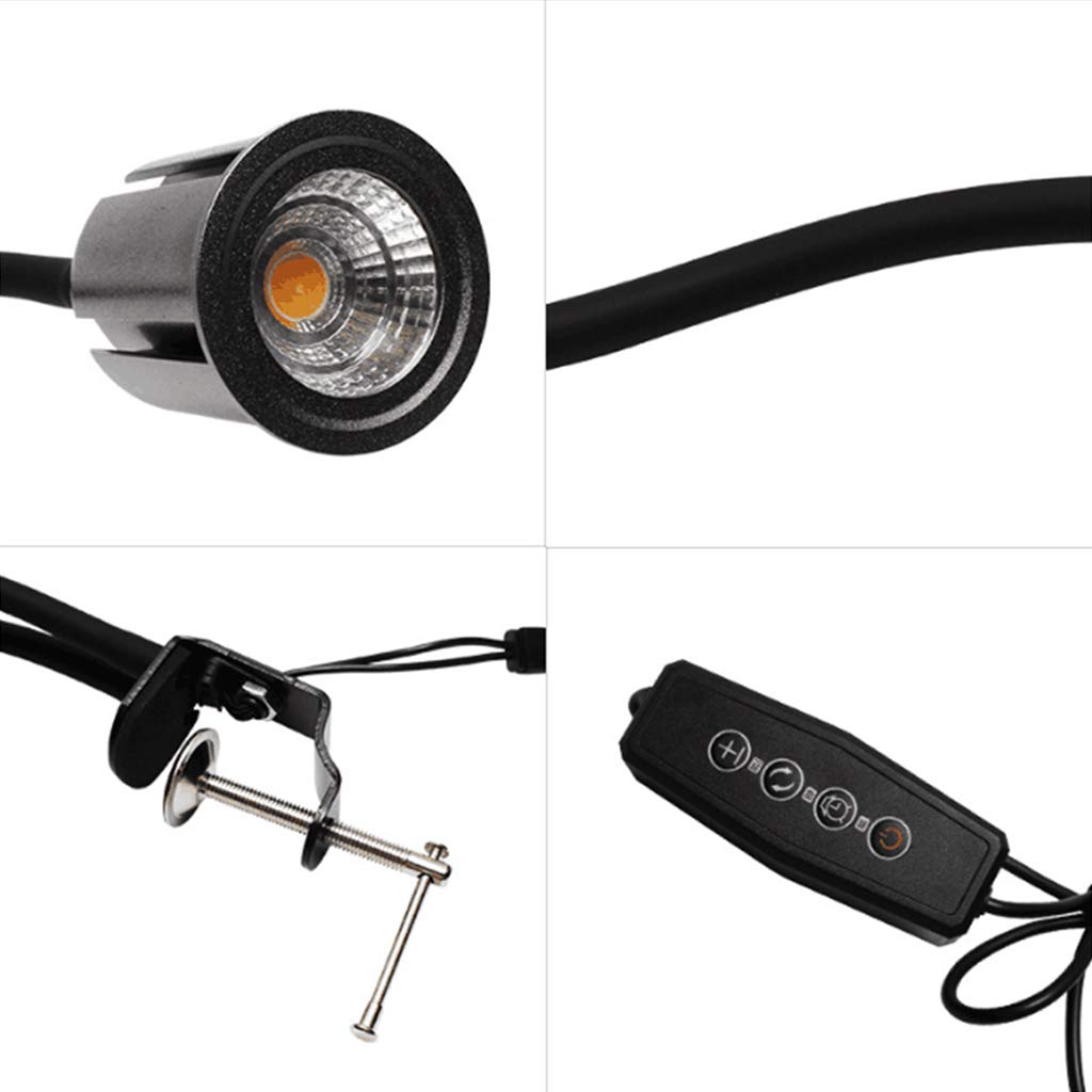 Lampe de croissance pour plantes, lumière de croissance, lampe de croissance à spectre complet de 15 W, lampe de bureau à col de cygne à double tête, lampe de croissance pour plantes d'intérieur pour