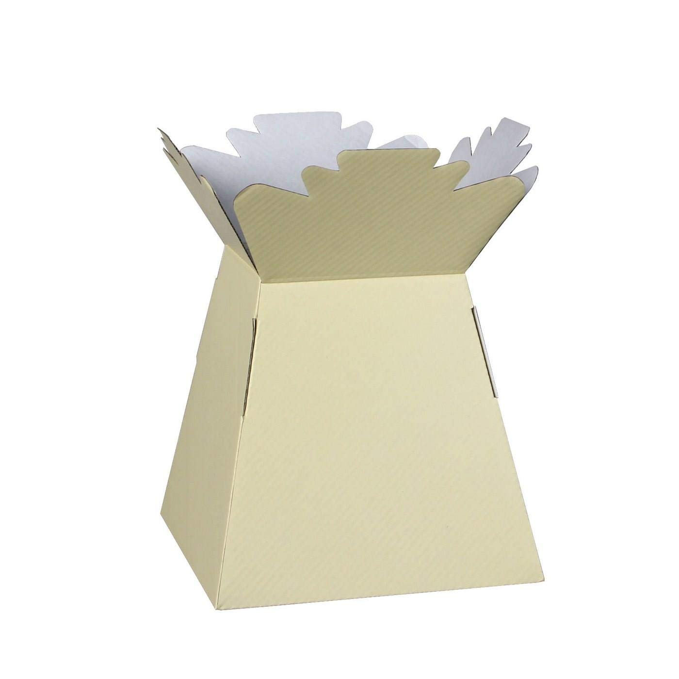 Hand-Tied Vase Florist Bouquet Boxes | Aqua Presentation & Transporter Boxes | Pack of 1 | Durable Flower & Plant Packaging | Glossy Ivory