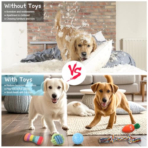 AMFUN 7 Stück Hundespielzeug Set für Kleine und Mittlere Hunde, Plüsch Mit Quietscher, Kauspielzeug für Welpen