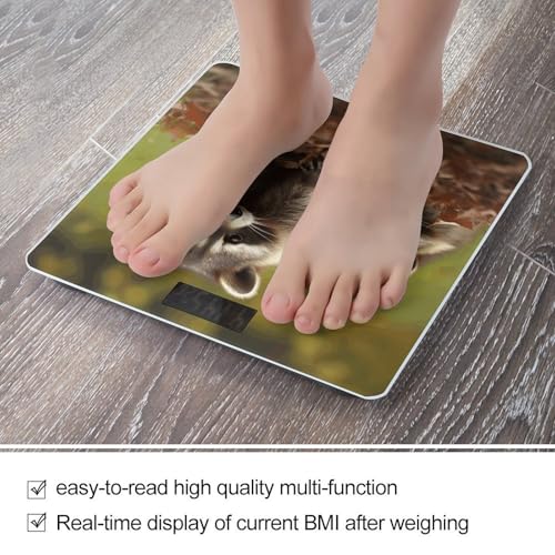 Báscula Digital de Baño con Capacidad 400 lb miniatura 5