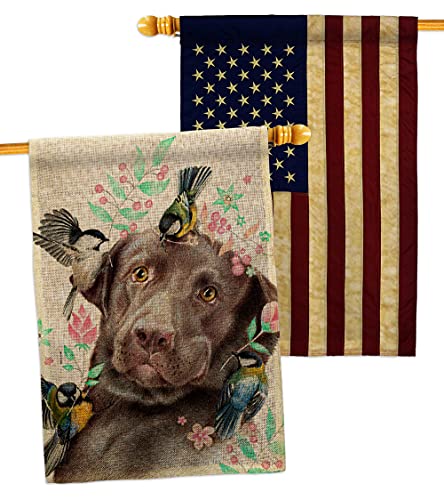 Breeze Decor Swallow Play with Lab Burlap House Flag Pack Dog Puppy Spoiled Paw Canine Fur Pet Nature Farm Animal Creature Vintage Applique Banner Small Garden Yard Gift Double-Sided, Made in USA