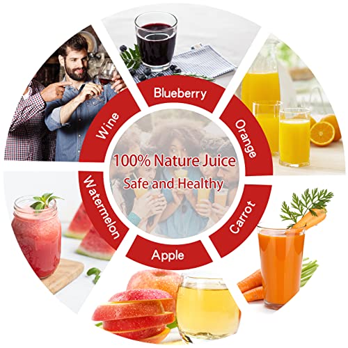 Fruit Wine Press - 100% Nature Apple&Grape&Berries Crusher Manual Juice Maker For Kitchen, Solid Wood Basket With 8 Blocks Cider Heavy Duty Wine Making Press (7.9 Gallon) #TOP1