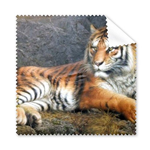 Chiffon de nettoyage pour lunettes et écran haute qualité motif peinture à l'huile tigre