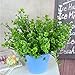 Abaodam Artificial Four Leaf Clover Plastic Greenery Plants Flowers Arrangement Vase Filler Four Leaf Clover Decoration for Wedding St. Patricks Day Favors