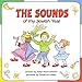 The Sounds of My Jewish Year (Very First Board Books)