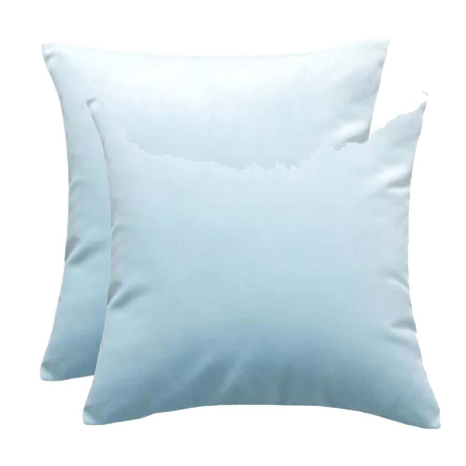 Throw Pillow Cases Set Of 2 Velvet Decorative Cushion Covers With Zipper｜Sofa Pillow Cases 12x20 18x18 20x20 24x24 Inch Couch Living Room Cushion Protector Cover