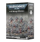 sororitas estoniae 24 miniature in plastica per Warhammer 40.000