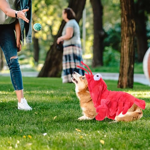 Disfraz de langosta para perro tamaño XS rojo miniatura 5