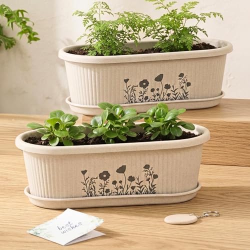 Image of Eha Earth-Friendly Printed Regalia Planters for Home Decor | 12 Inch, Pack of 2 Without Growmix | Plant Gifts Made with Rice Husk Biocomposite | Flower Pot for Living Room| Sand Castle