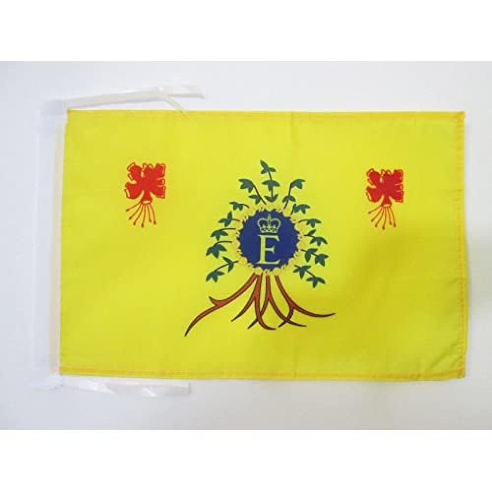Iran Old Persia Flag 18'' x 12'' cords - Persian SMALL flags 30 x 45cm - Banner 18x12 in - AZ FLAG — view 184