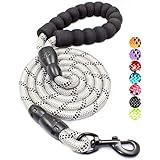 BAAPET 2/4/5/6 FT Strong Dog Leash with Comfortable Padded Handle and Highly Reflective Threads for Small Medium and Large Dogs (5FT-1/2'', Silver)