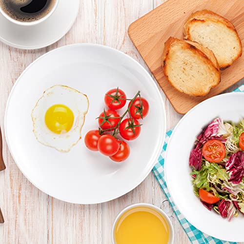 Debecty Dinner Plates 10 Inch Melamine Dinner Plates Unbreakable Dinner Plates Set Appetizer White Dinner Plates For Indoor And Outdoor Use (8 Pcs Set, 10 Inch) #TOP2